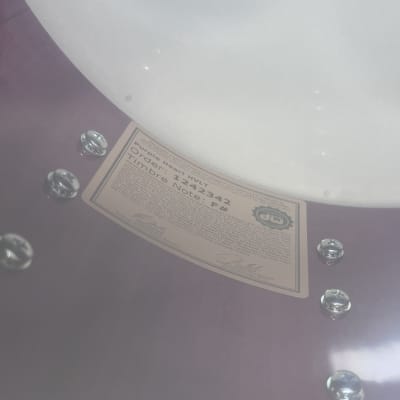 DW Collectors Series 8"x14" Purple Heart Snare Drum in Broken Glass image 7