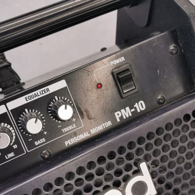 Roland PM-10 30-Watt 2x10