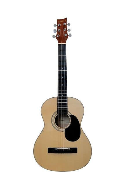 Beaver Creek 1/2 Size Acoustic Guitar w/Gig Bag image 1