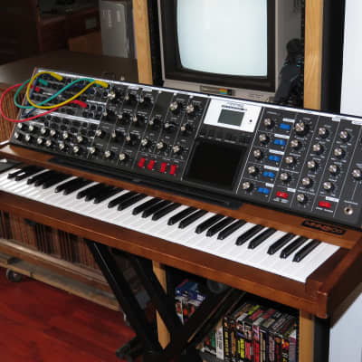 Moog Minimoog Voyager XL 61-Key Monophonic Synthesizer