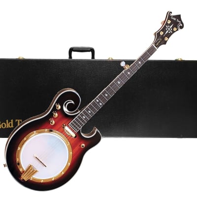 Gold Tone EBM-5 Electric Solid Body Maple Neck Mahogany Top 5-String Banjo w/Hard Case image 1