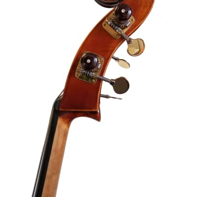 Christopher "Gorfriller" Double Bass, Premium image 5