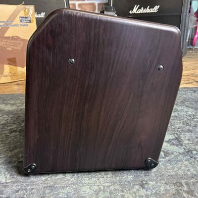 Boss Acoustic Singer Pro 120 Watt Vocal and Acoustic Guitar Amplifier image 7