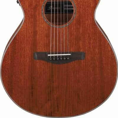 Ibanez AEG220 Natural Low Gloss AEG Acoustic Guitar for sale