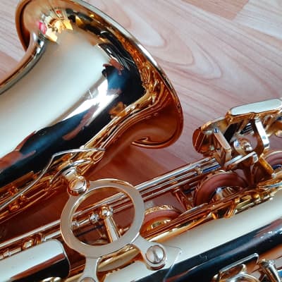 Alto Saxophones - Long & McQuade