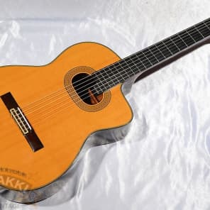 Takamine NPT 315 | Reverb