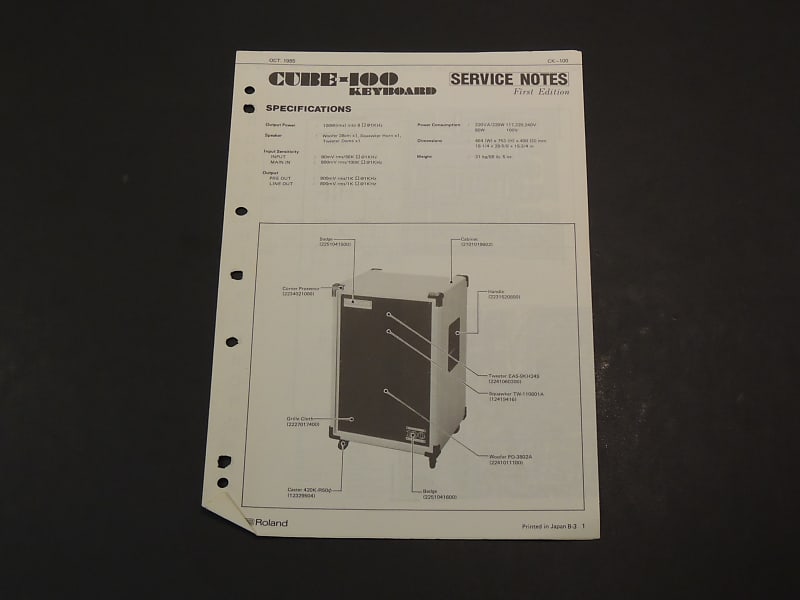 Roland Cube100 Keyboard Service Notes /Manual [Three Wave Reverb