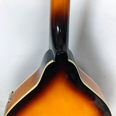 Savannah SA100 A Mandolin w/ Guitar Pickup Piezo image 9