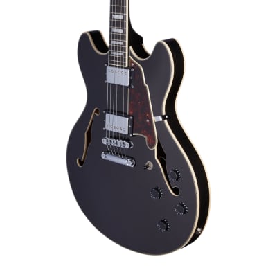 D'Angelico Premier DC Semi-Hollow Electric Guitar w/Stopbar Tailpiece Black Flake w/Gig Bag, New, Free Shipping image 3