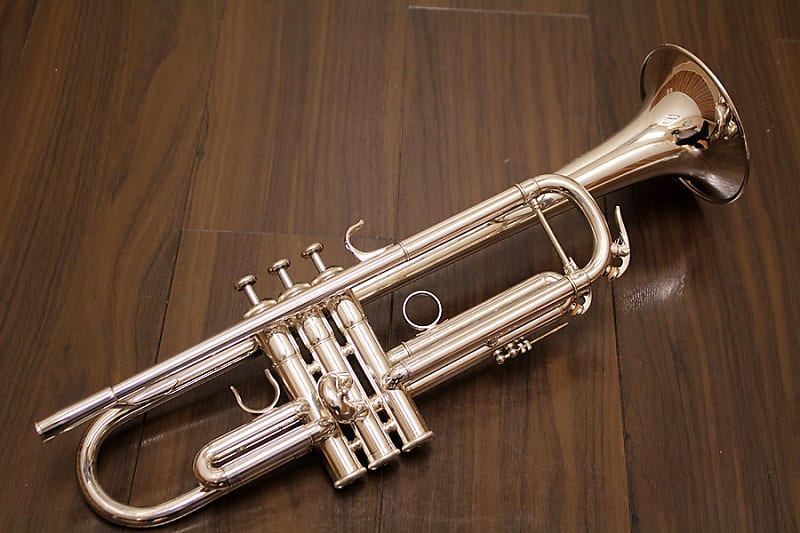 [限定値下げ]YAMAHA ヤマハ YTR-800gs Yamaha Ytr 800 Gs B (09/14) | Reverb Italia