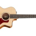 Taylor 254ce Rosewood 12-String Acoustic-Electric Guitar