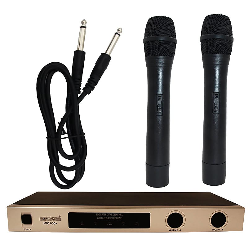 5 Core Wireless Microphone Dual Channel System w Handheld Dynamic Mic  Portable Cordless Microfone Microfono Inalambrico Profesional WM 301 HC