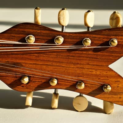 Mandolin by Francesco Salomone, Napoli circa 1900s