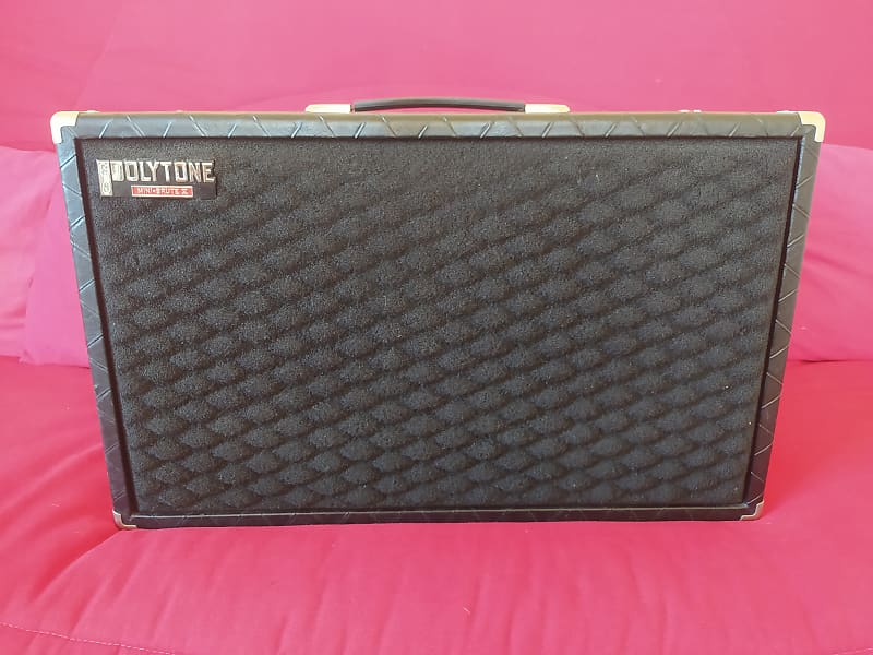 Polytone Mini-Brute V  Rare 2x10' Speakers version image 1