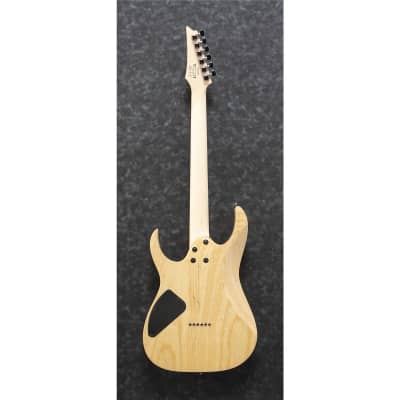 Ibanez RG Standard Series RG421AHM Solidbody Electric Guitar, Maple Fretboard, Blue Moon Burst image 14