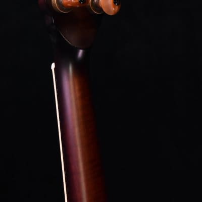 Ome Northstar Five String Resonator Bluegrass Banjo image 11