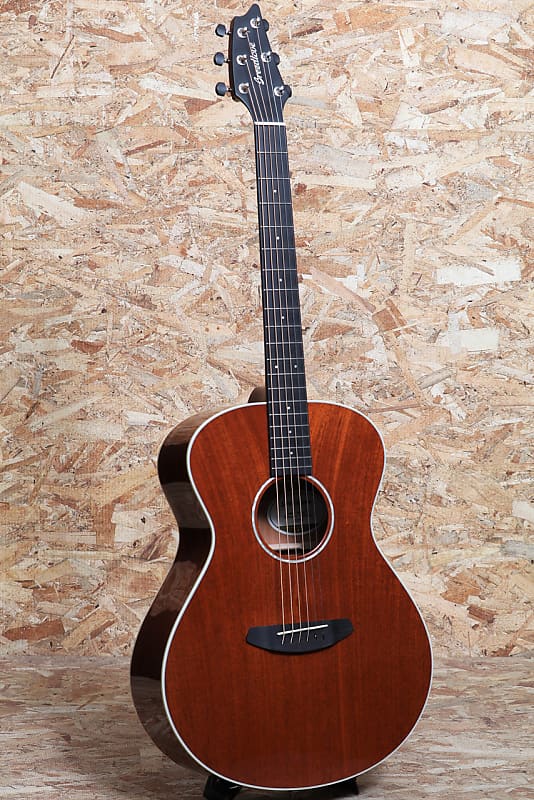 Breedlove Frontier Concert E 2020's