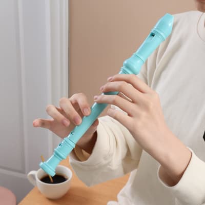 Soprano Recorder For Kids Beginners, German Style C Key 8 Holes Recorder Instrument Abs 3-Piece With Cleaning Kit & Fingering Chart, Blue image 5