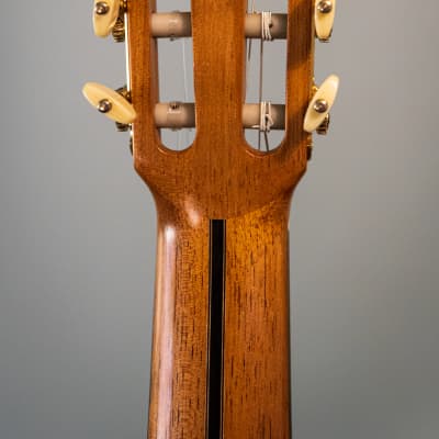 2005 Teodoro Perez, Spruce, Indian Rosewood Concerto Model. Performance video added. image 6