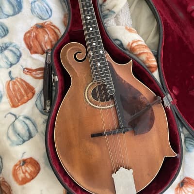 Gibson  F4 Mandolin  1909 image 1