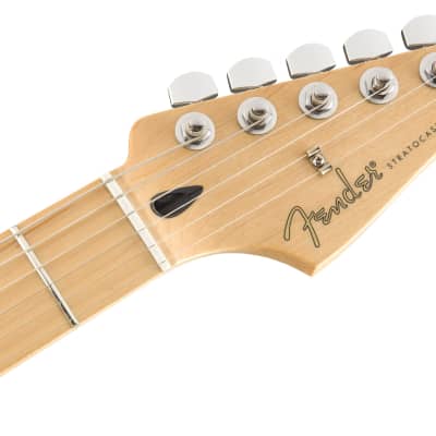 Fender Player Stratocaster Buttercream image 6