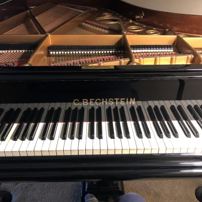 1921 Bechstein B Grand Piano 6'8"- priced to sell! image 4
