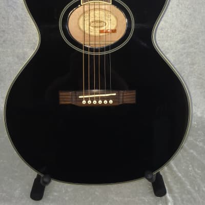 Washburn EA9 Acoustic/Electric Guitar – Ebony image 1