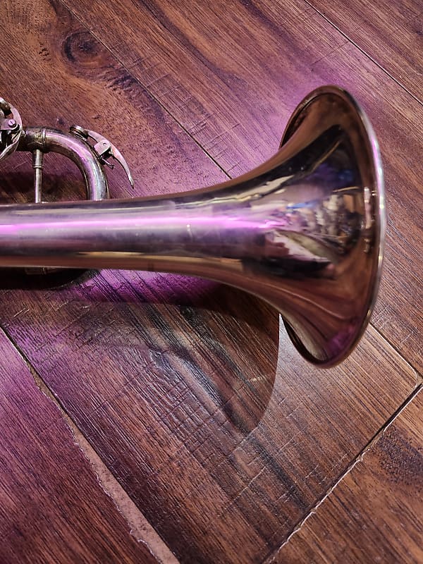 Anaxa trumpet hotsell