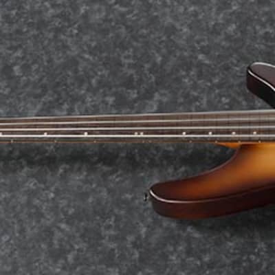 Ibanez SRH500F NFF 4 String Semi-Hollow Fretless Bass W/Piezo | Reverb  Canada