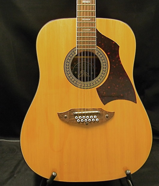 Eko rio bravo 12 string shop guitar