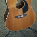 Fender Sonoran SCE 2007 - Gloss - Solid Spruce Top