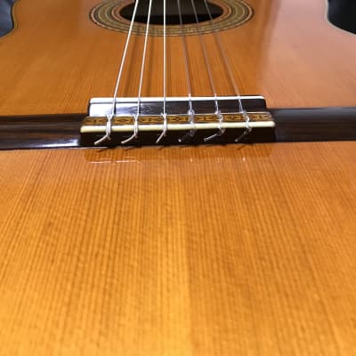 Sakazo Nakade, 600E (1971) - Japanese Vintage Classical
