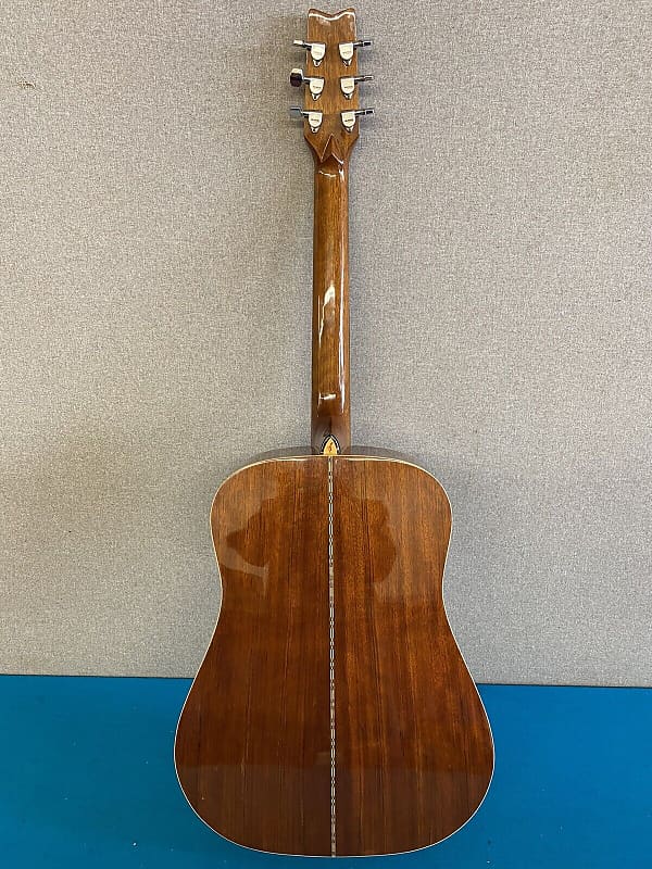 Washburn Westerngitarre D13 2024 N