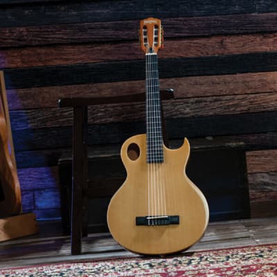 Washburn EACT42S | Festival Series Acoustic-Electric Classical Guitar. New with Full Warranty! image 10