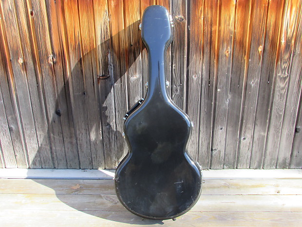Eastman guitar case online