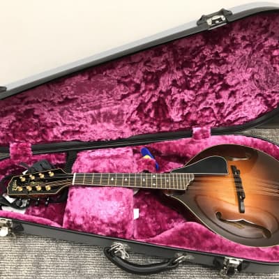 Ellis A-5 Reserve Mandolin with Engraved James Tailpiece w/deluxe branded hard case image 4