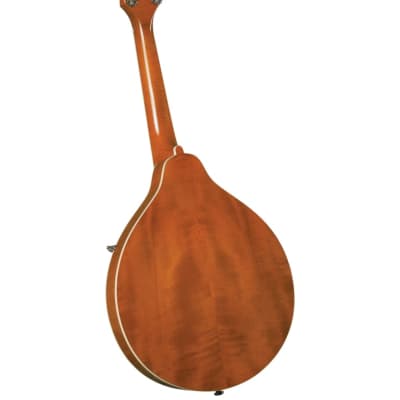 Kentucky KM-272 Deluxe Oval Hole A-Model Mandolin WITH Matching Deluxe Gig Bag– Transparent Amber image 3