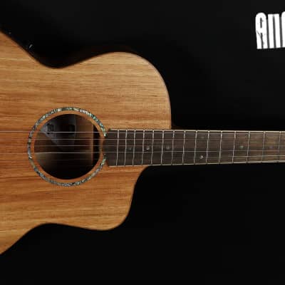 Cole Clark SAN1EC-BLBL Blackwood Acoustic Electric Guitar w/ Gig Bag image 2