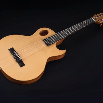 Washburn EACT42S | Festival Series Acoustic-Electric Classical Guitar. New with Full Warranty! image 14