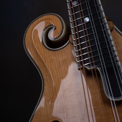 Bourgeois M5-F Aged Tone F-style mandolin Brand New image 7