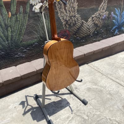 Ortega Student Series RST5 Acoustic Guitar image 6