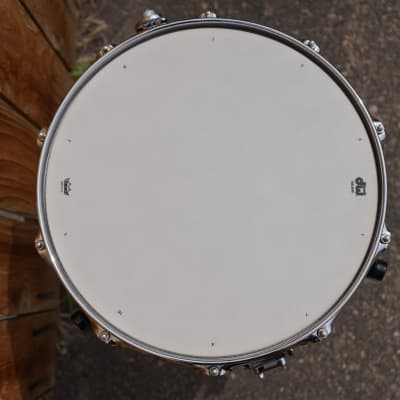 DW + USA + Collectors Exotic Natural Fiddleback Eucalyptus 5 1/2 x14" Snare Drum=NOS image 7