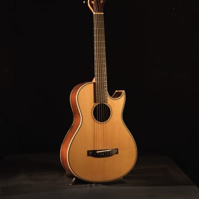 NEW Terry Pack PLRS parlour acoustic guitar, solid rosewood, Sitka, cutaway, hand made with pride image 2