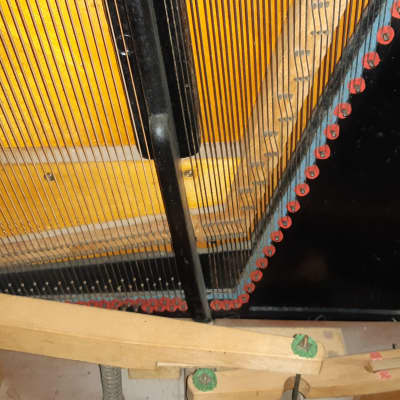 Rare C. Bechstein Model V Upright Piano 1898- Ships with CITES Permit Internationally image 14