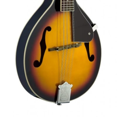 Bluegrass Mandolin w/ basswood top for sale