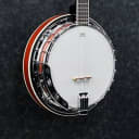 Ibanez B200 5-String Banjo, Natural