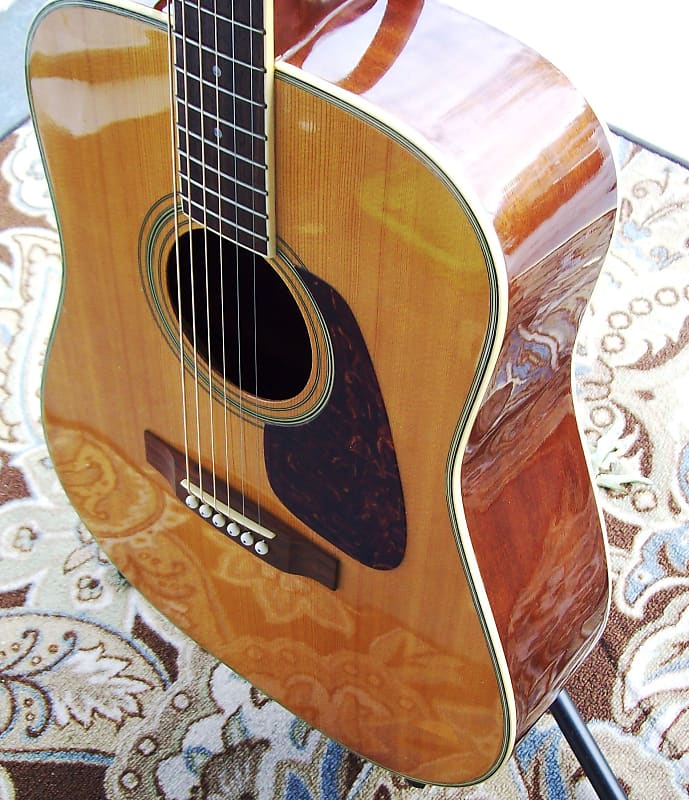 Morris MD-506 アコースティックギター - パプリカミュージック