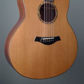R. Taylor Guitars Style 1 image 2