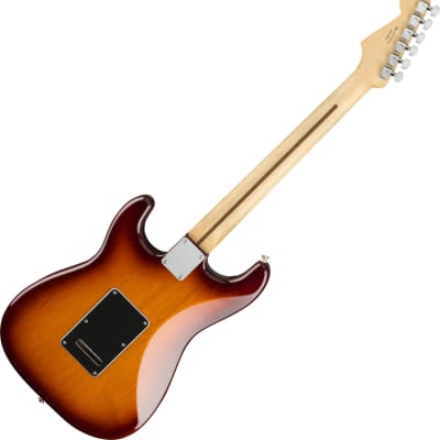 Fender Player Stratocaster HSS Plus Top, Maple FB, Aged Cherry Bundle image 2