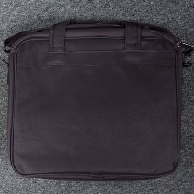 Aguilar Carry Bag for Tone Hammer 500 *In Stock! image 2